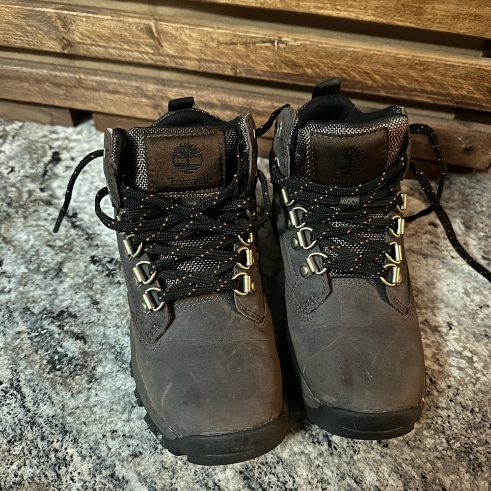 Timberland Men's Brown Hiking Boots